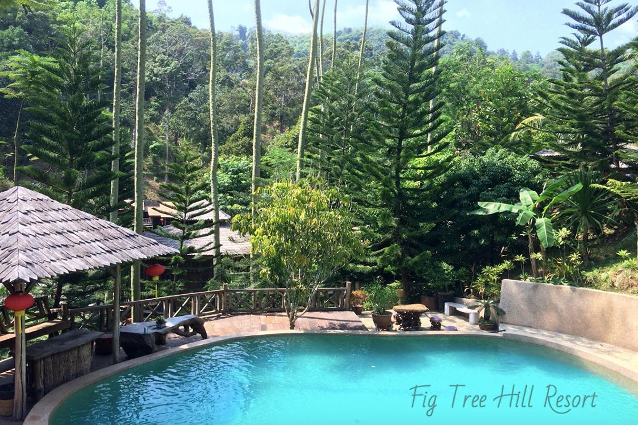 Fig Tree Hill Resort 37/38