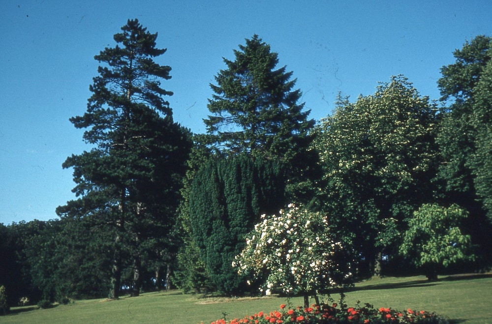 Brandshatch Place Hotel and Spa 45/48