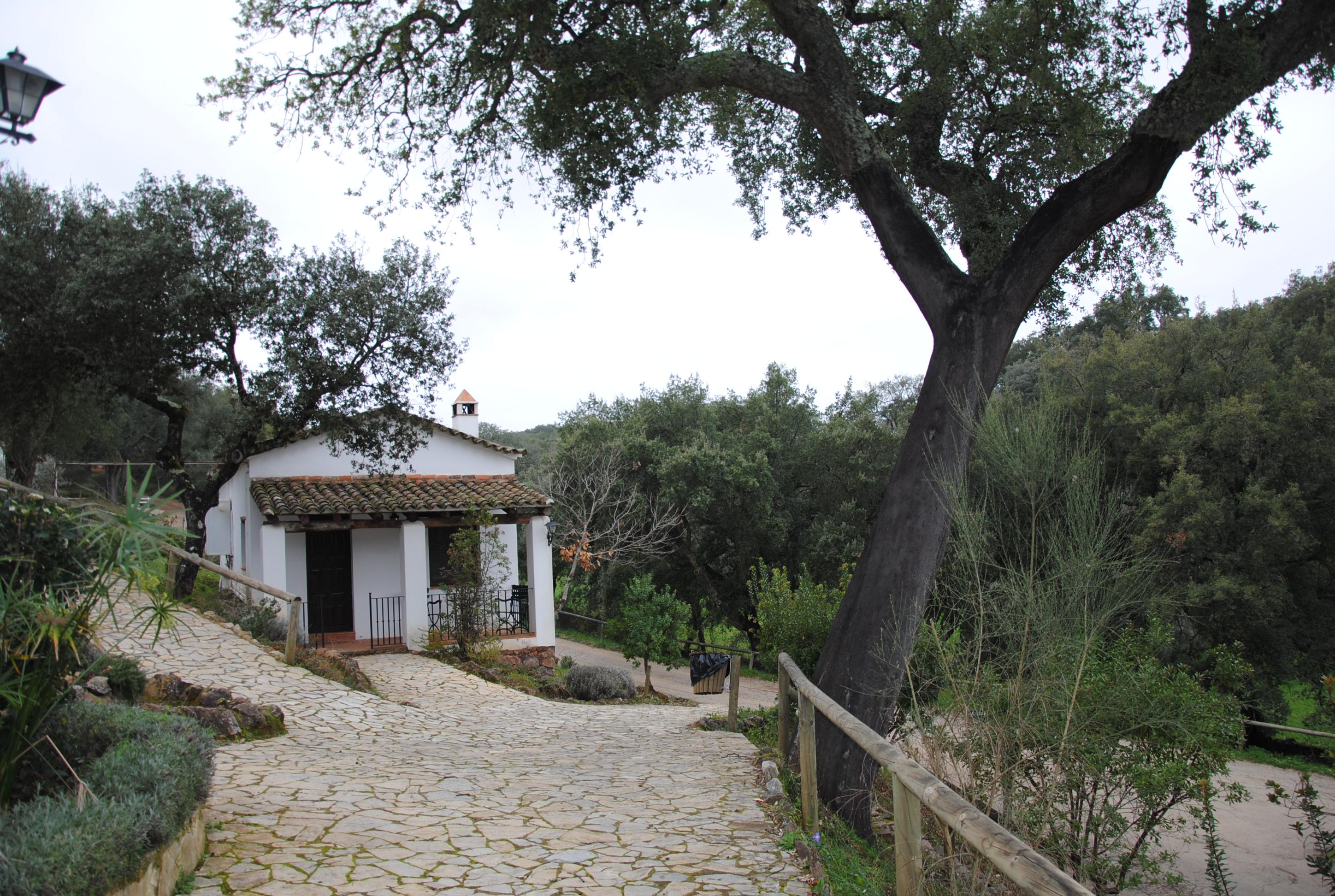 Finca Valbono 37/49