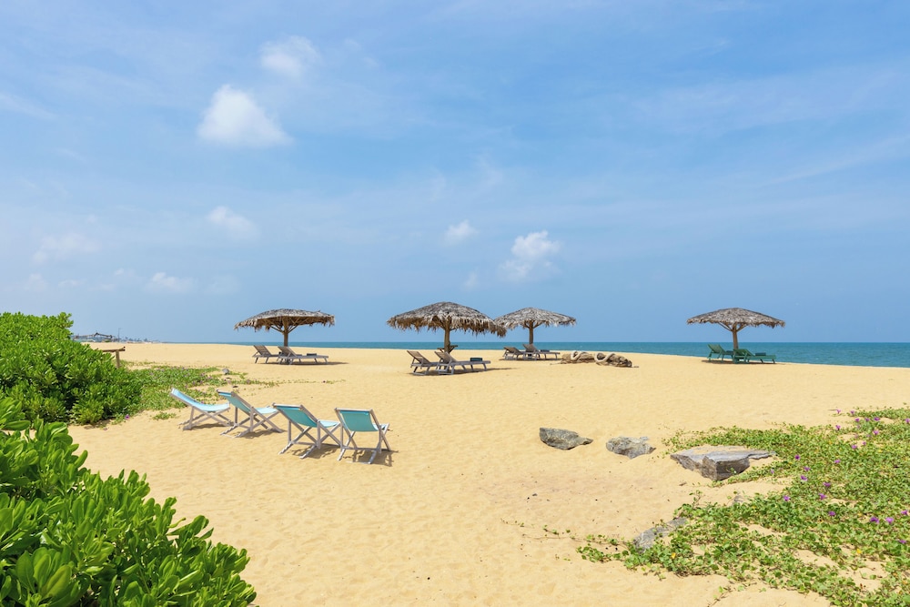Elements Beach & Nature Resort 33/50