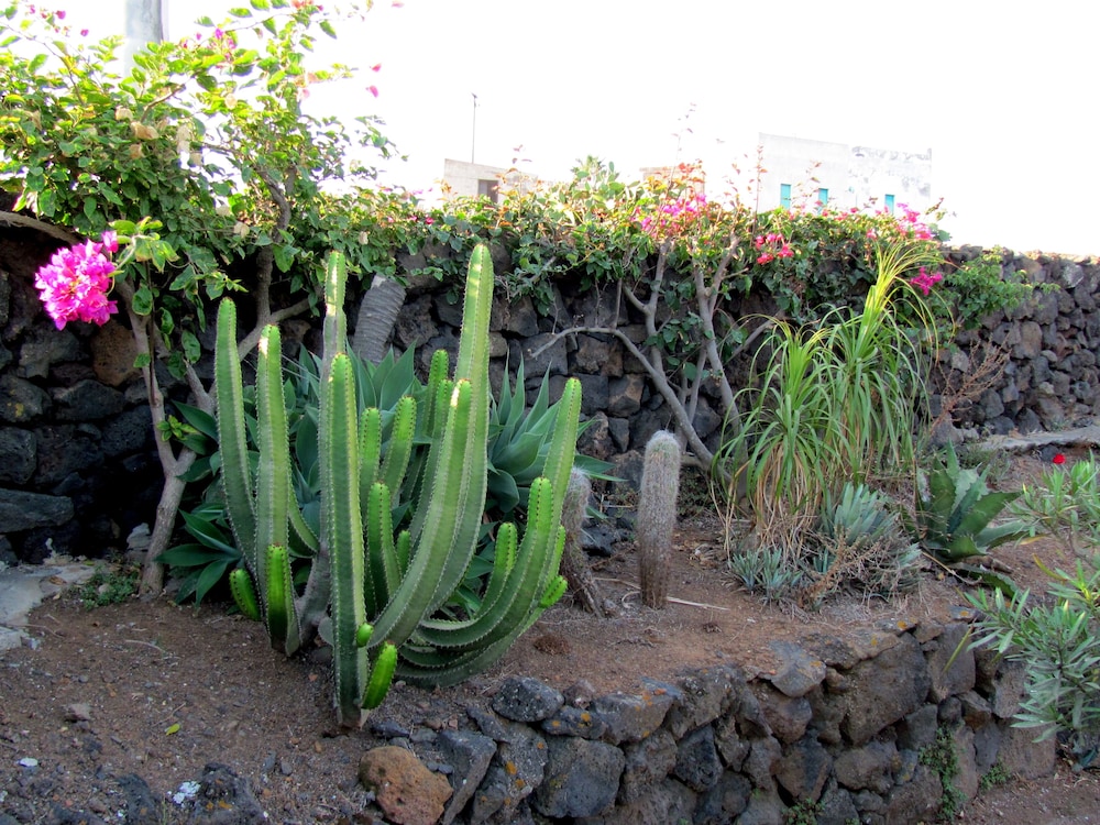 I Dammusini Di Pantelleria 38/50