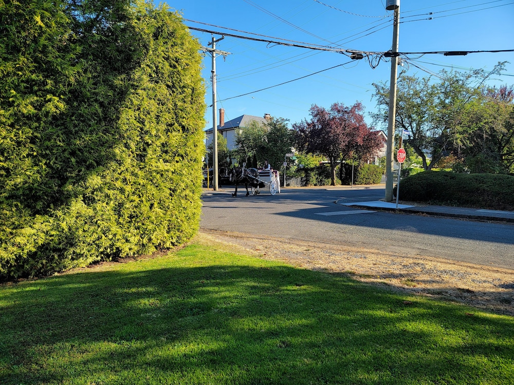 James Bay Inn Hotel Suites Cottage 67/74