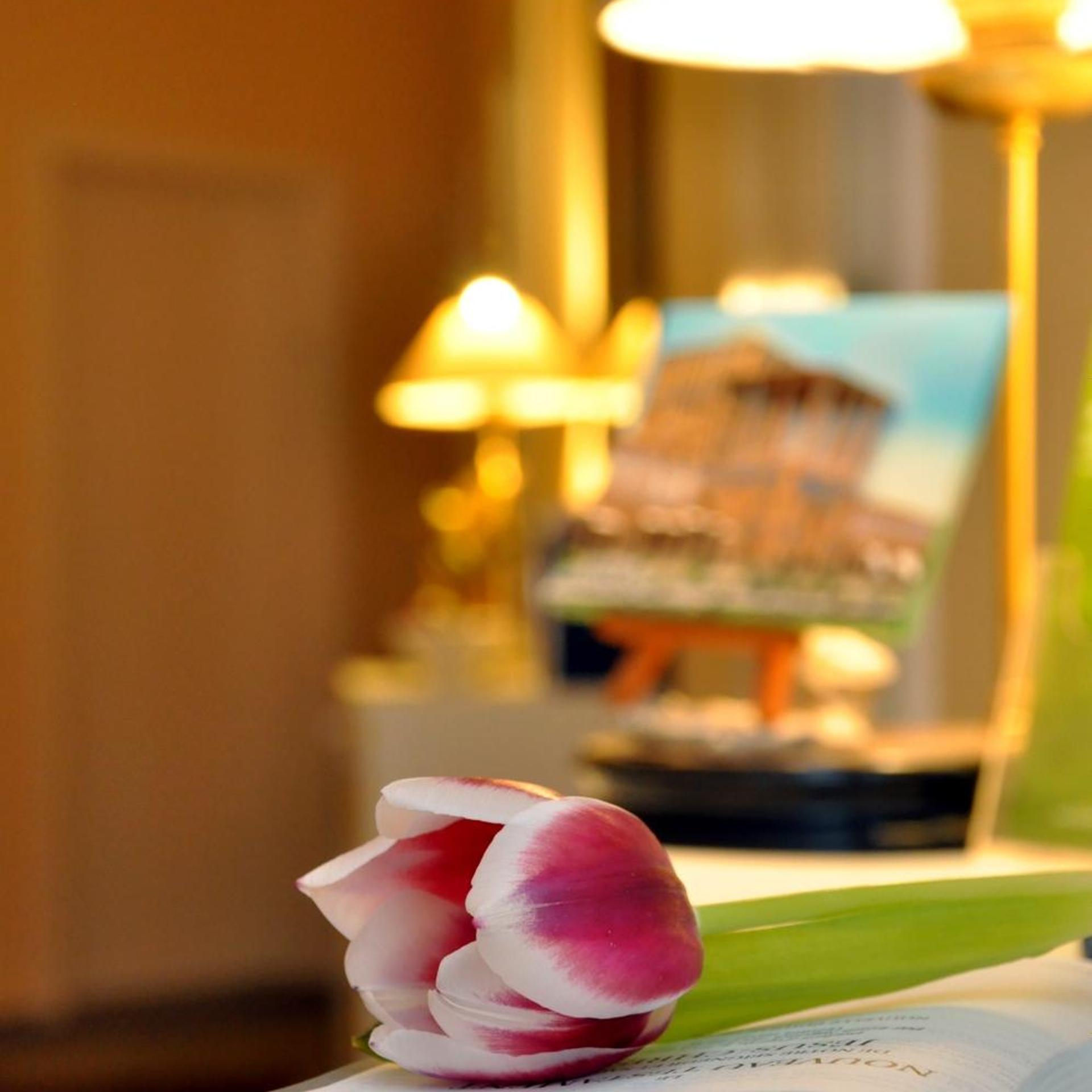 Apadana Hotel 26/50