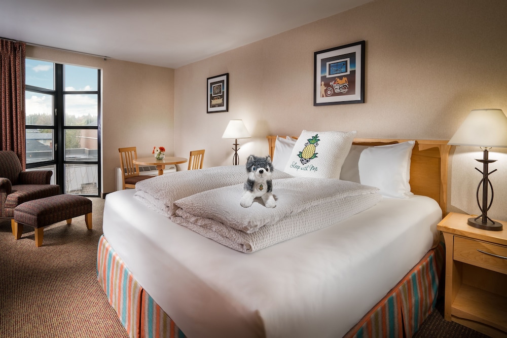 Staypineapple, University Inn, University District Seattle 20/52