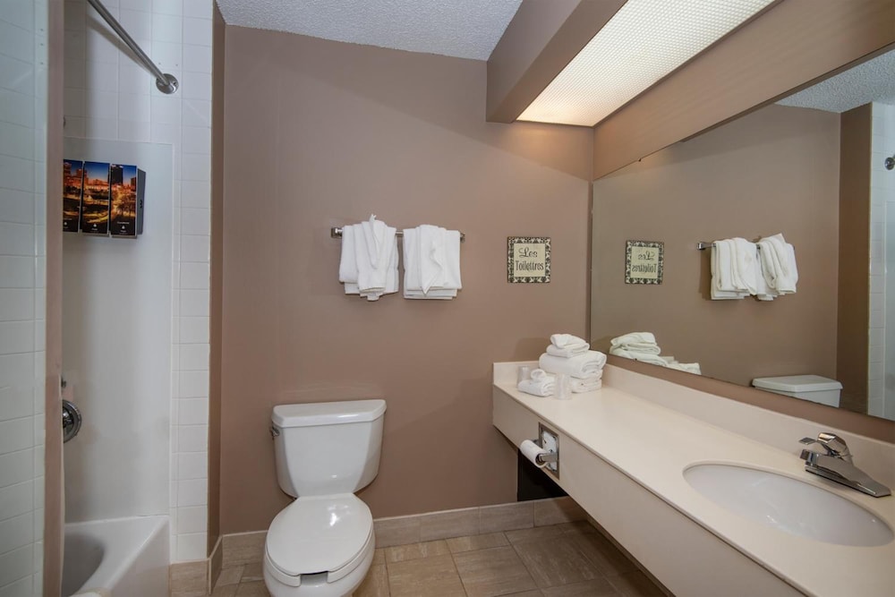 Guest Inn and Suites Midtown Medical Center 33/38