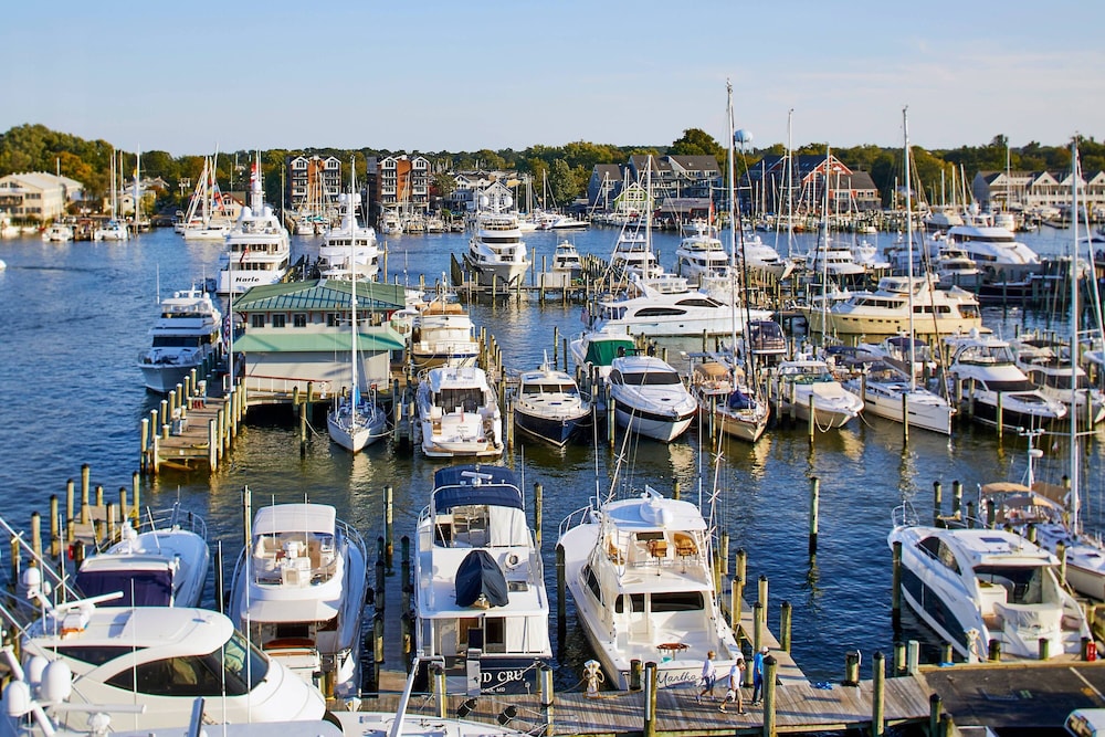 Annapolis Waterfront Hotel Autograph Collection 26/56