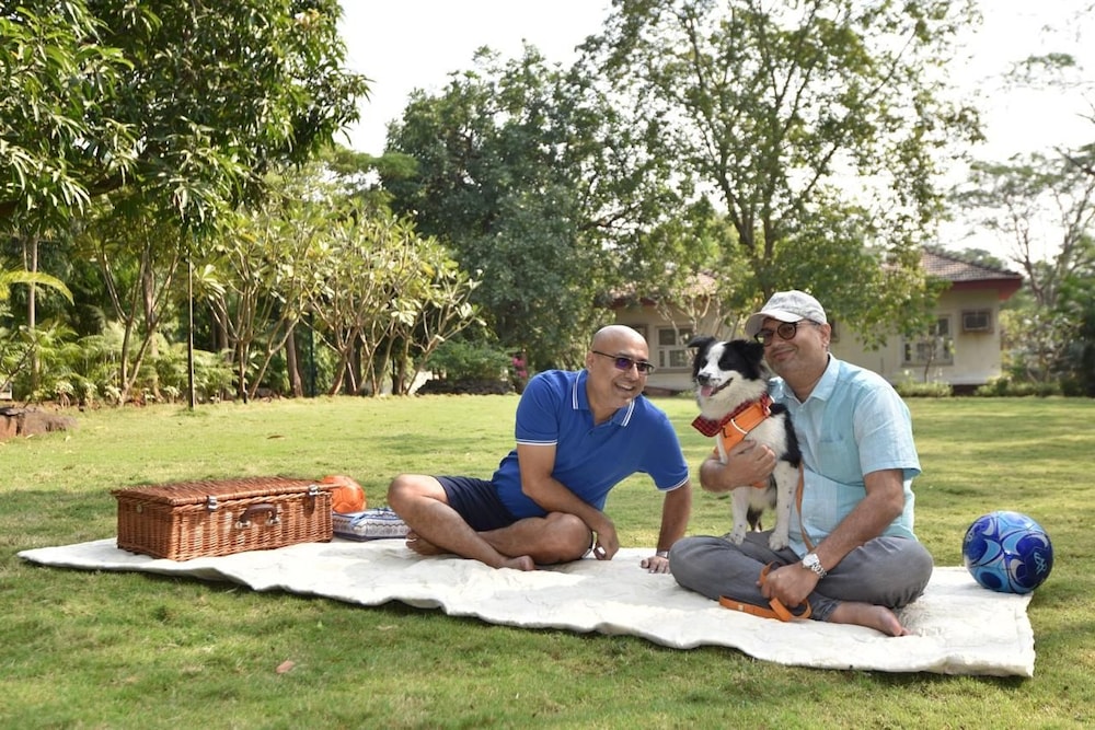 Modis Resort 37/46