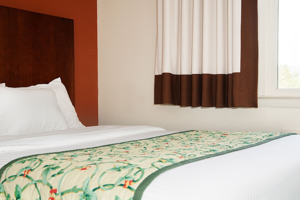 Red Carpet Inn Suites 16/23