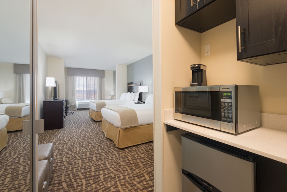 Holiday Inn Express & Suites Denver South - Castle Rock 17/54