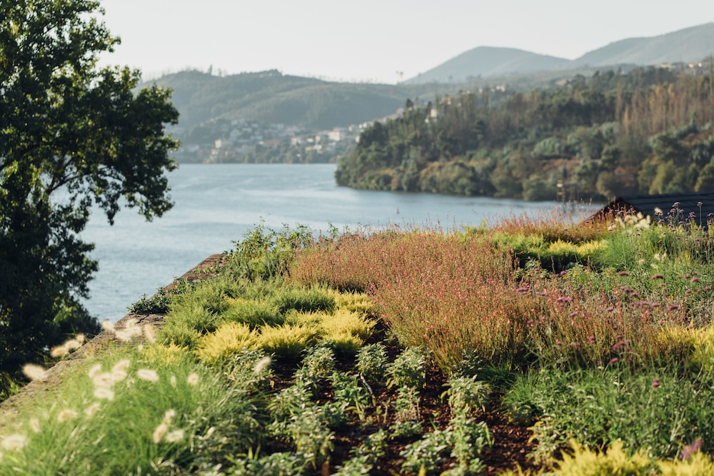 Octant Douro (ex Douro41 Hotel and Spa) 68/73