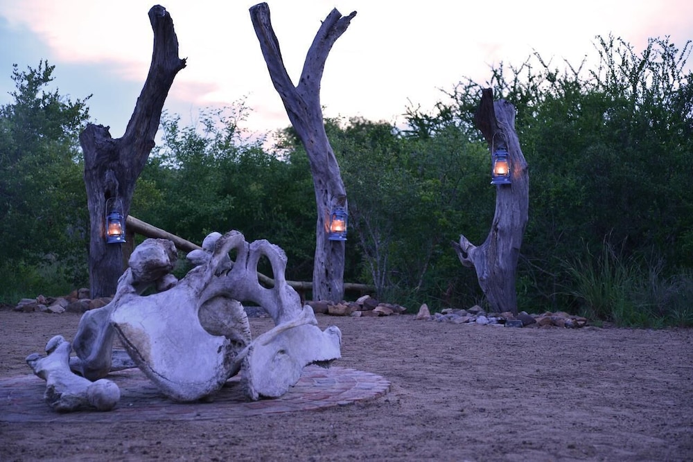 Wild Olive Tree Camp 15/20