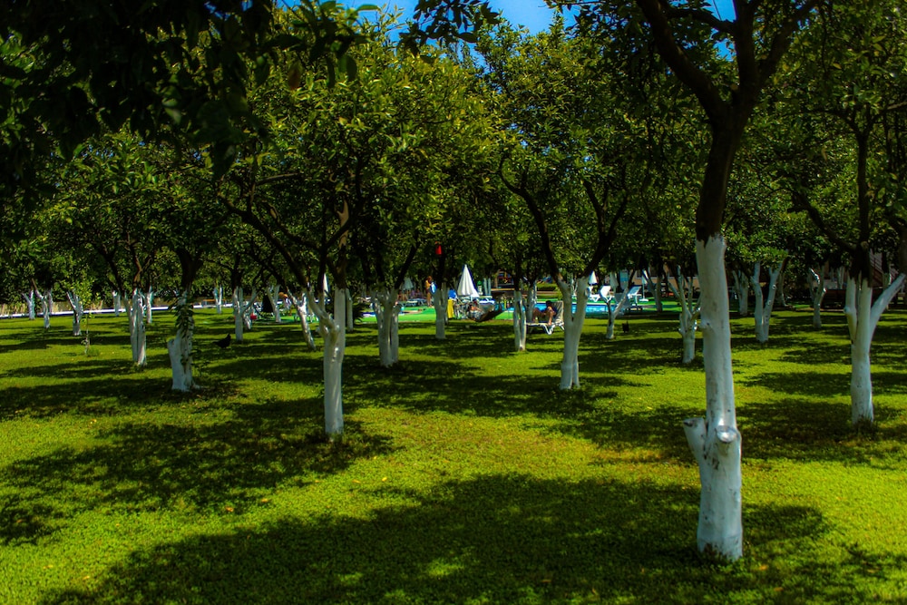 surroundings