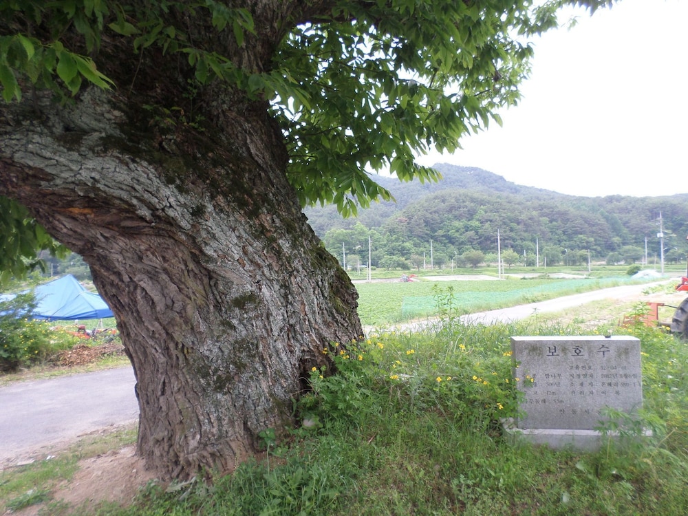 Ongyejongtaek 22/32