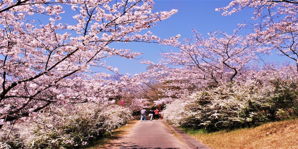 KAMENOI HOTEL Kii-Tanabe 43/48