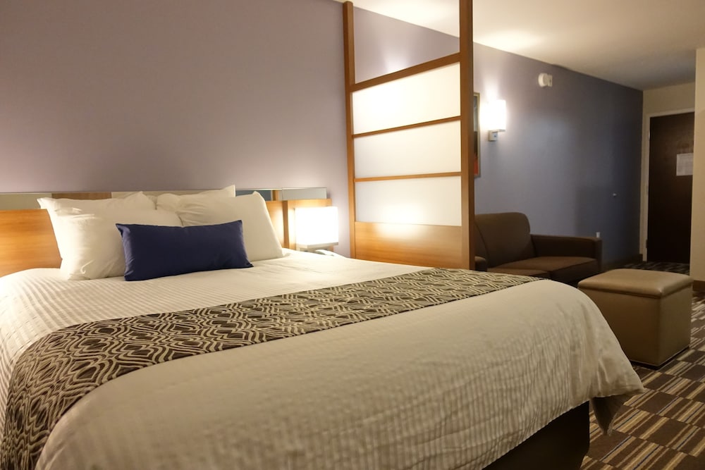 Microtel Inn & Suites By Wyndham Sault Ste. Marie 17/47