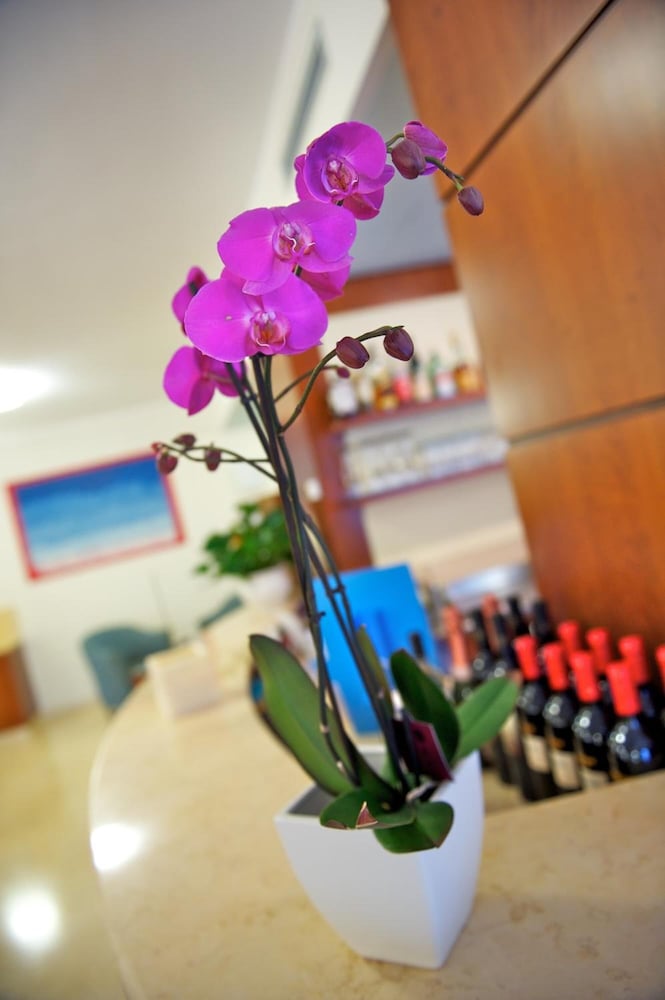 Hotel Garni Orchidea 28/50