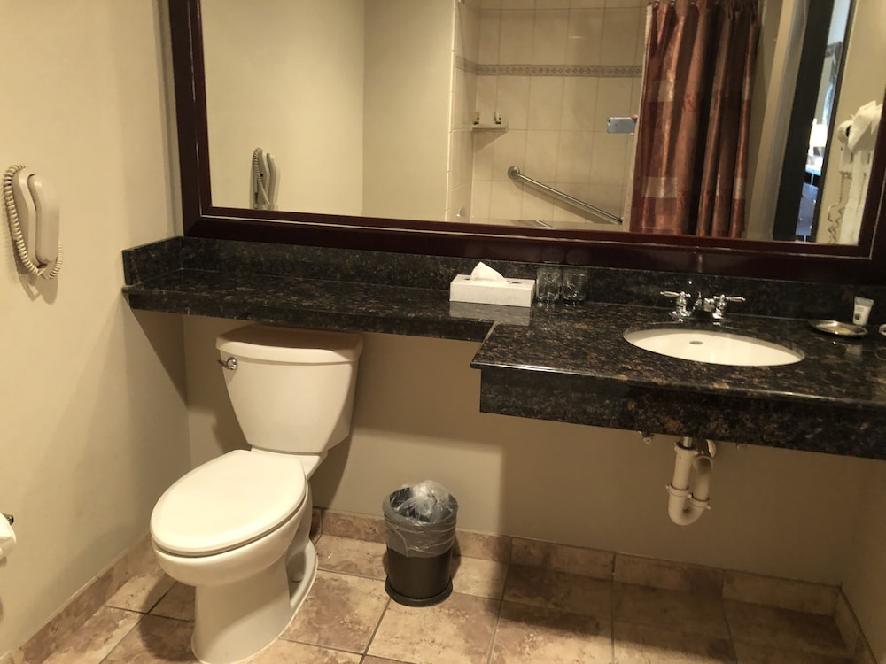 Hawthorn Extended Stay by Wyndham Killeen 16/48