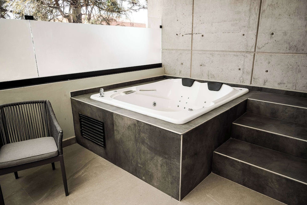 Esplendor by Wyndham San Luis Potosi Monarca 5/54