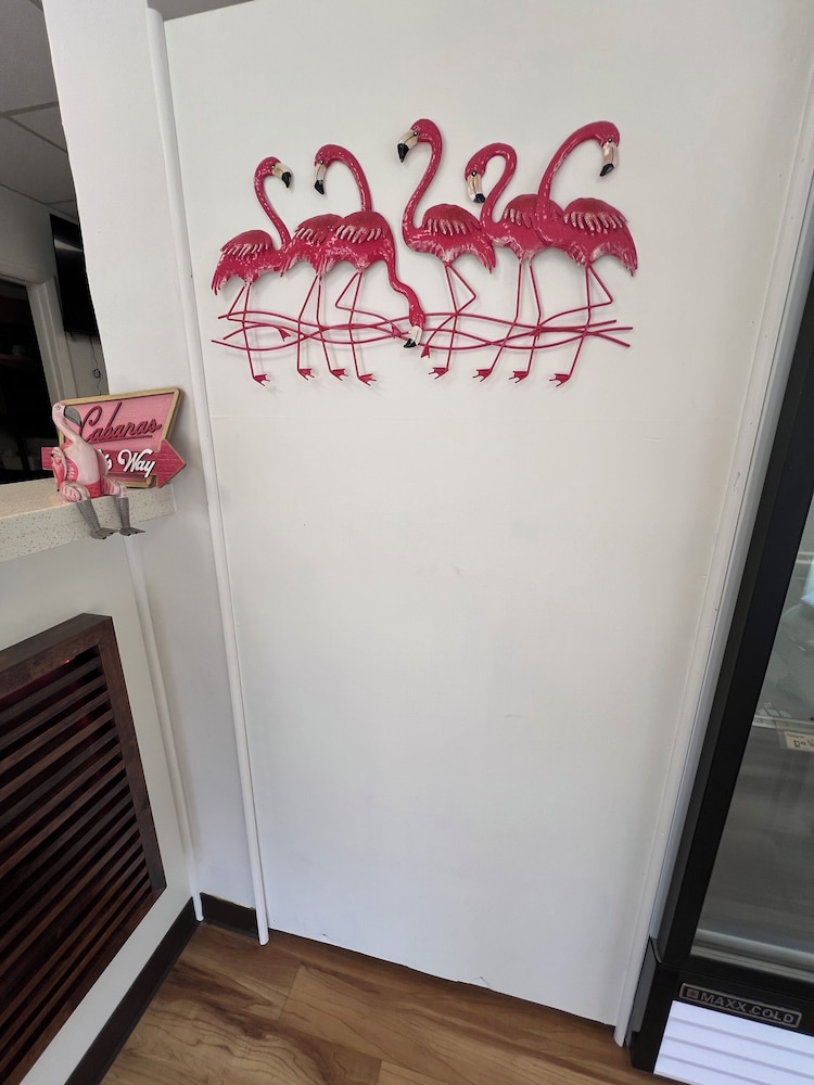 Flamingo Inn 10/50