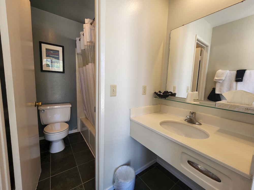 Cinnamon Bear Inn 23/80