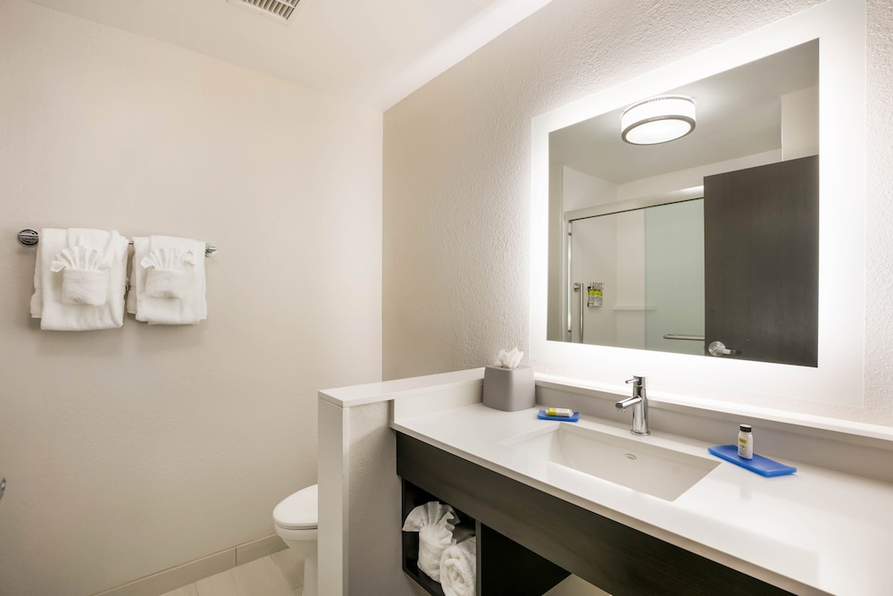 Holiday Inn Express Suites Jacksonville Town Center 15/46