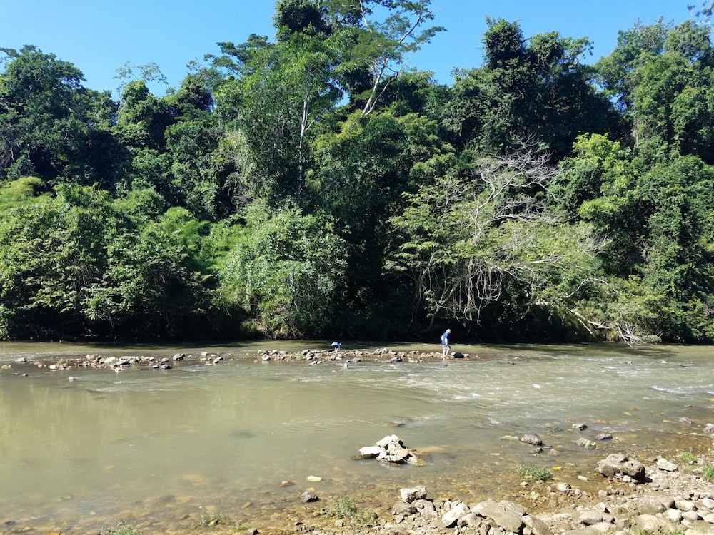 Table Rock Jungle Lodge 55/65