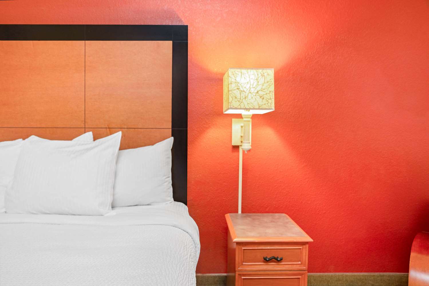 La Quinta Inn & Suites by Wyndham USF (Near Busch Gardens) 26/54