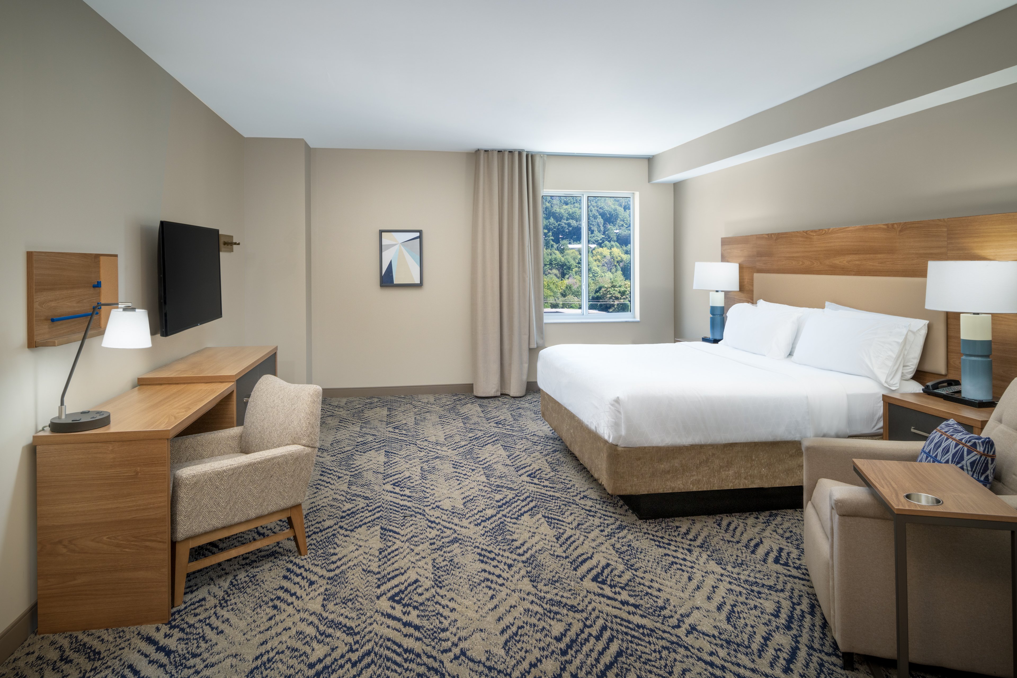 Candlewood Suites Asheville Downtown 31/81
