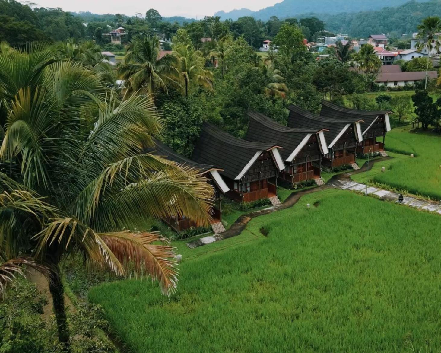 Toraja Misiliana 37/49