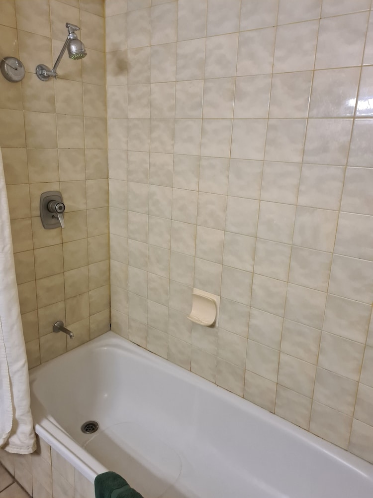 ALICE MOTOR INN 54/56