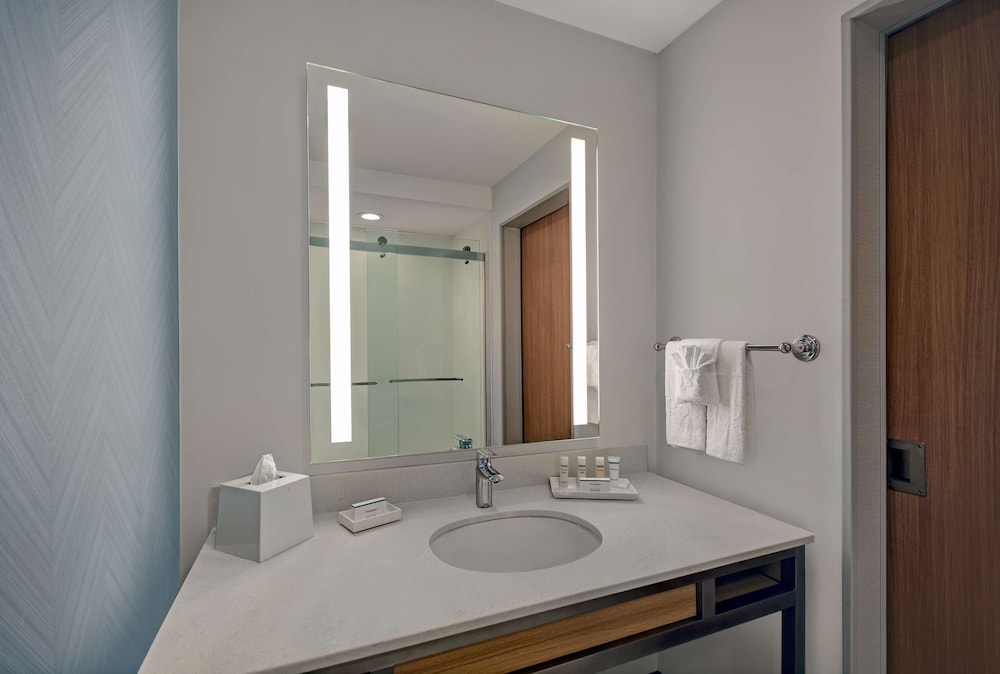 Hilton Garden Inn Houston Medical Center 10/57