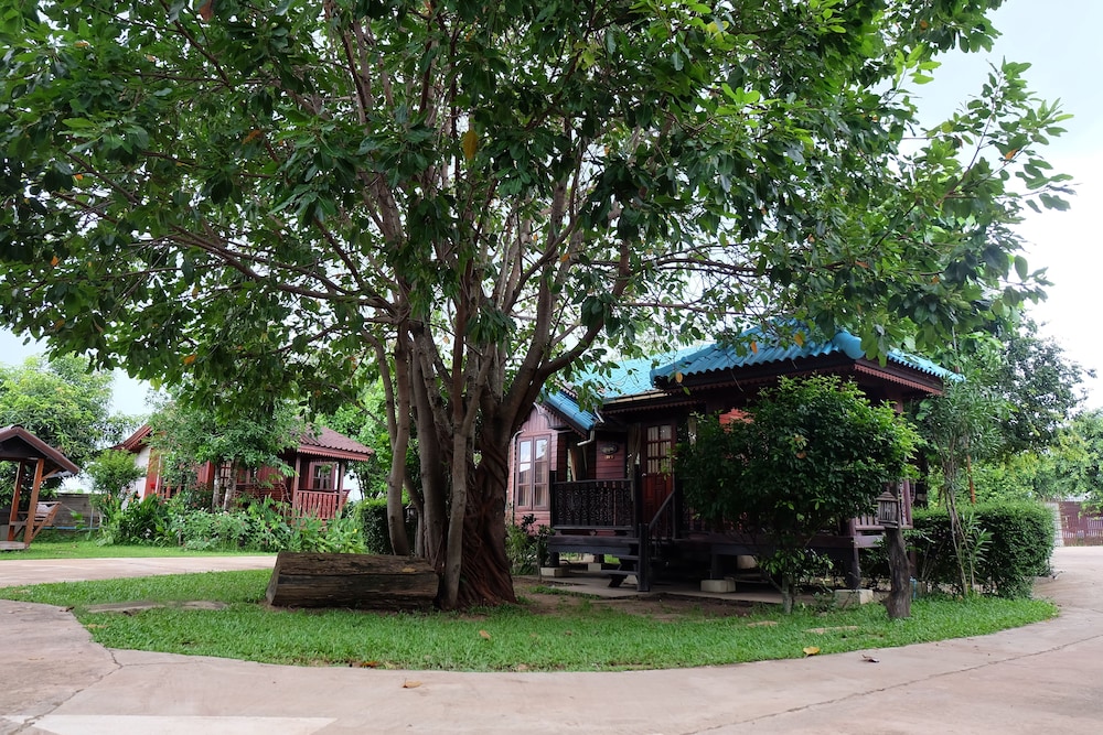 Big Tree Resort 10/45