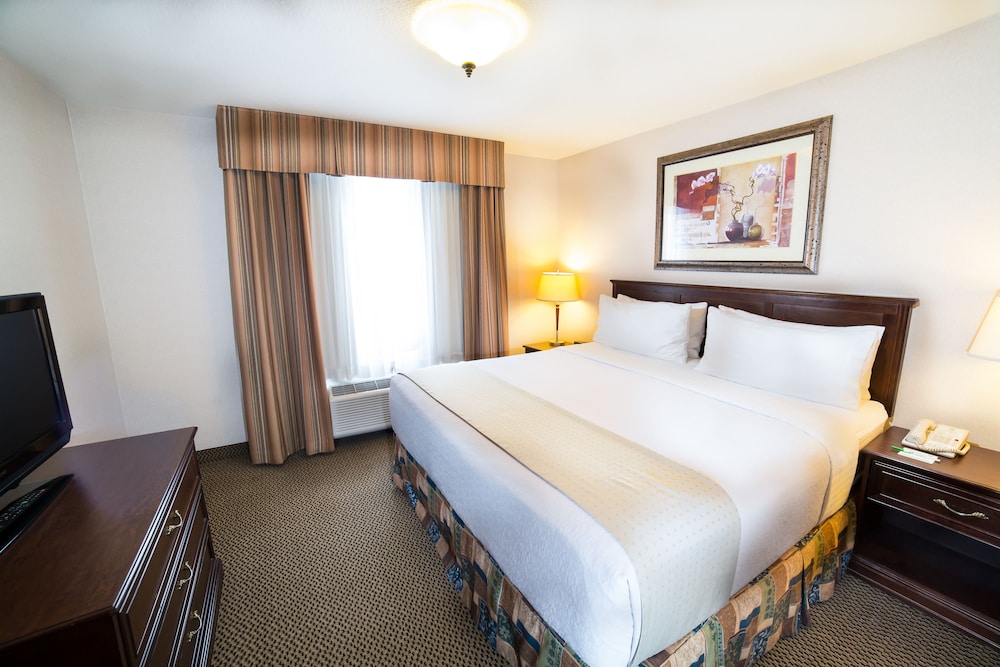 Room, King Bed