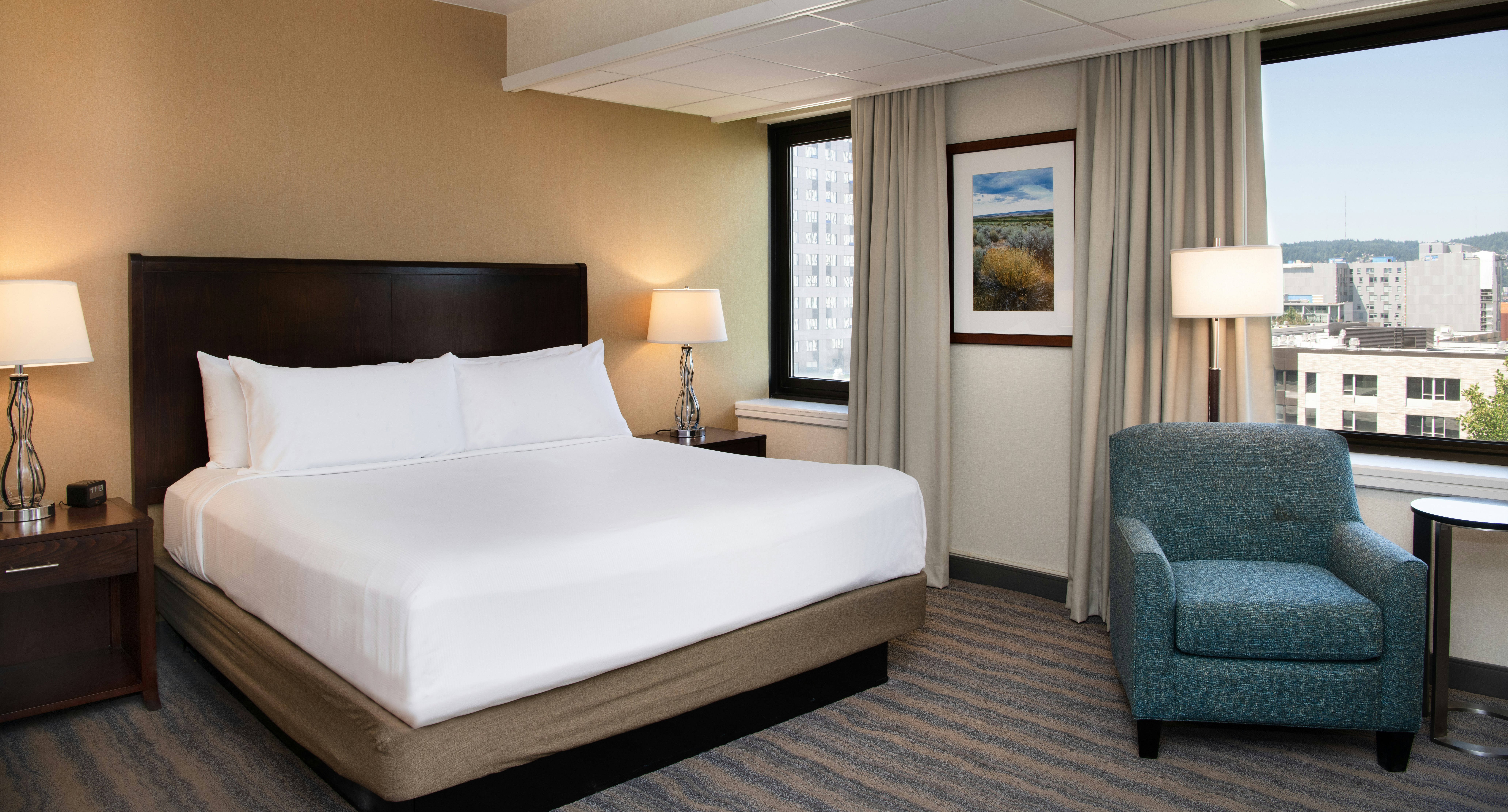 ROOM, KING BED, ACCESSIBLE