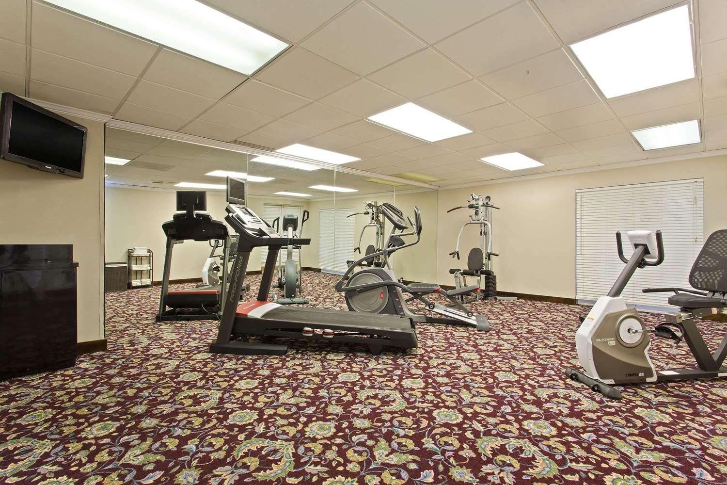 OASIS BAY SUITES, Tampa, Busch Gardens, USF 2/13