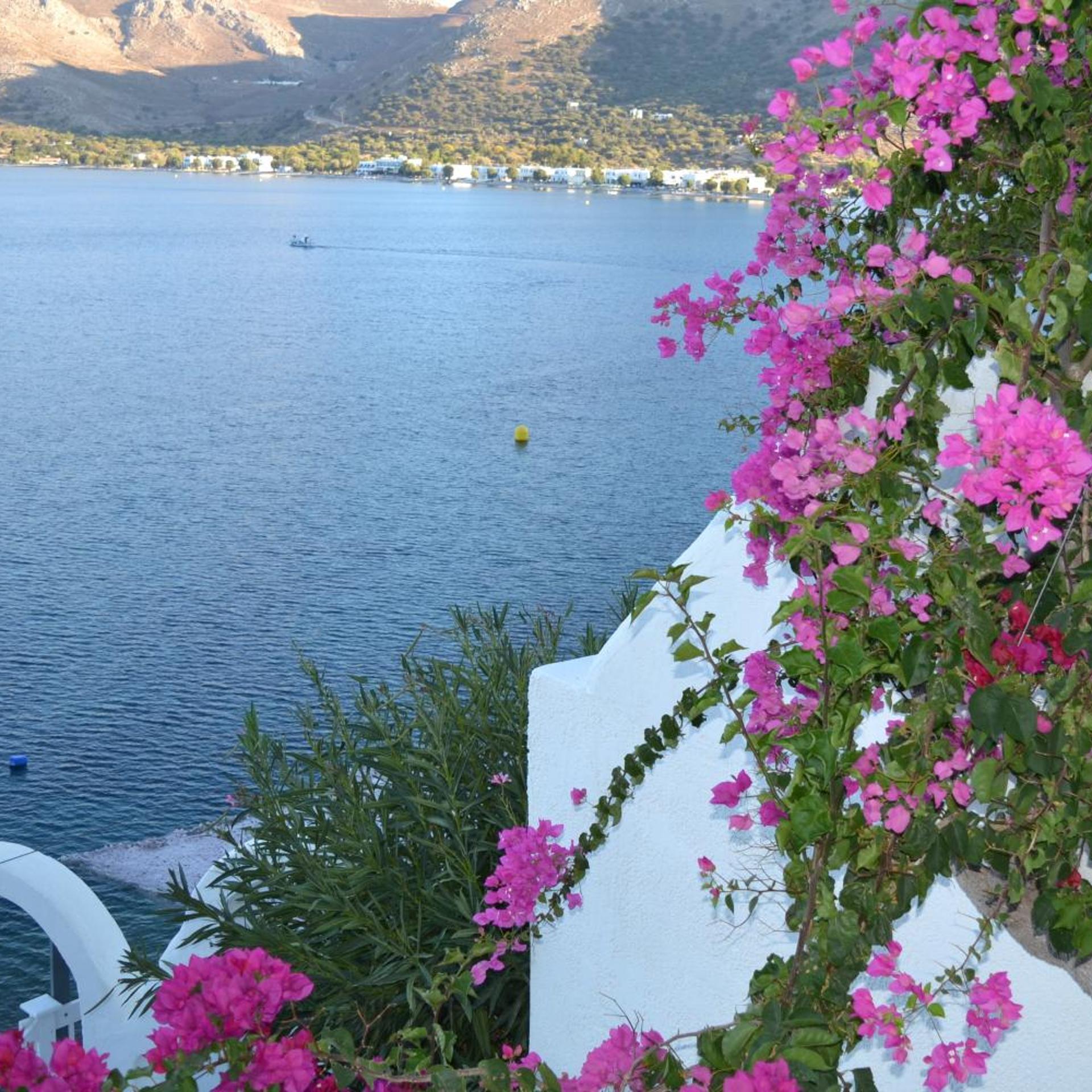 Ilidi Rock Apartments 49/55