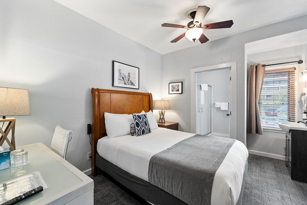 The College Inn 10/50