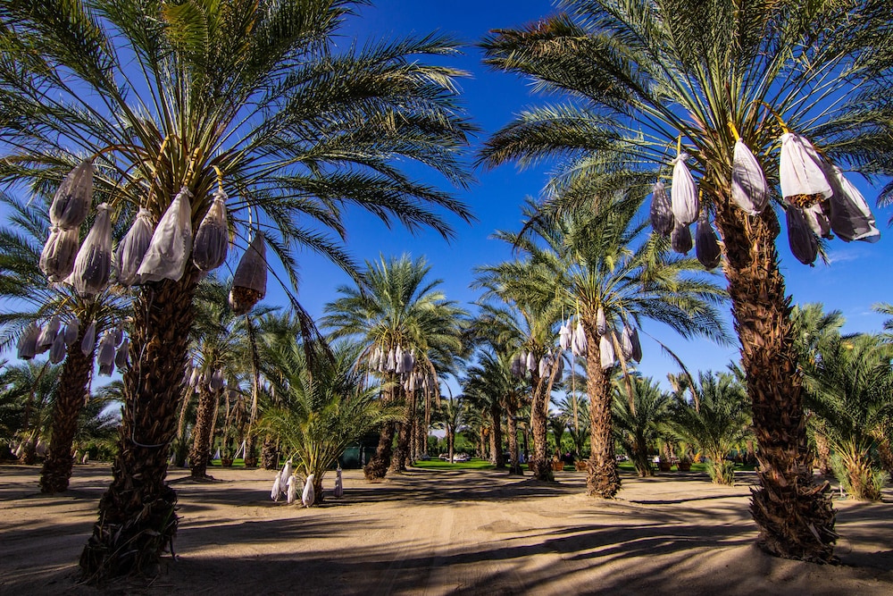Festival Campgrounds Rancho 51 30/38
