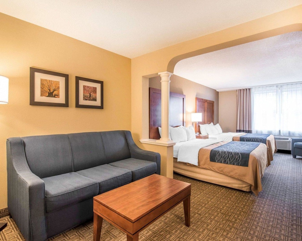 Comfort Inn and Suites Dover-Portsmouth 21/46