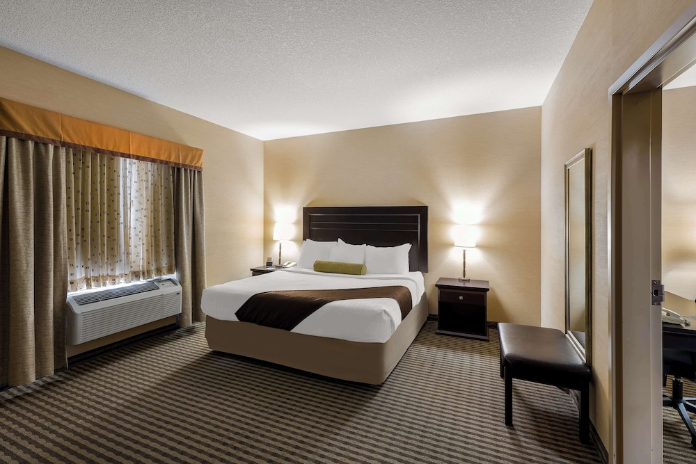 Room, King Bed, Sofa