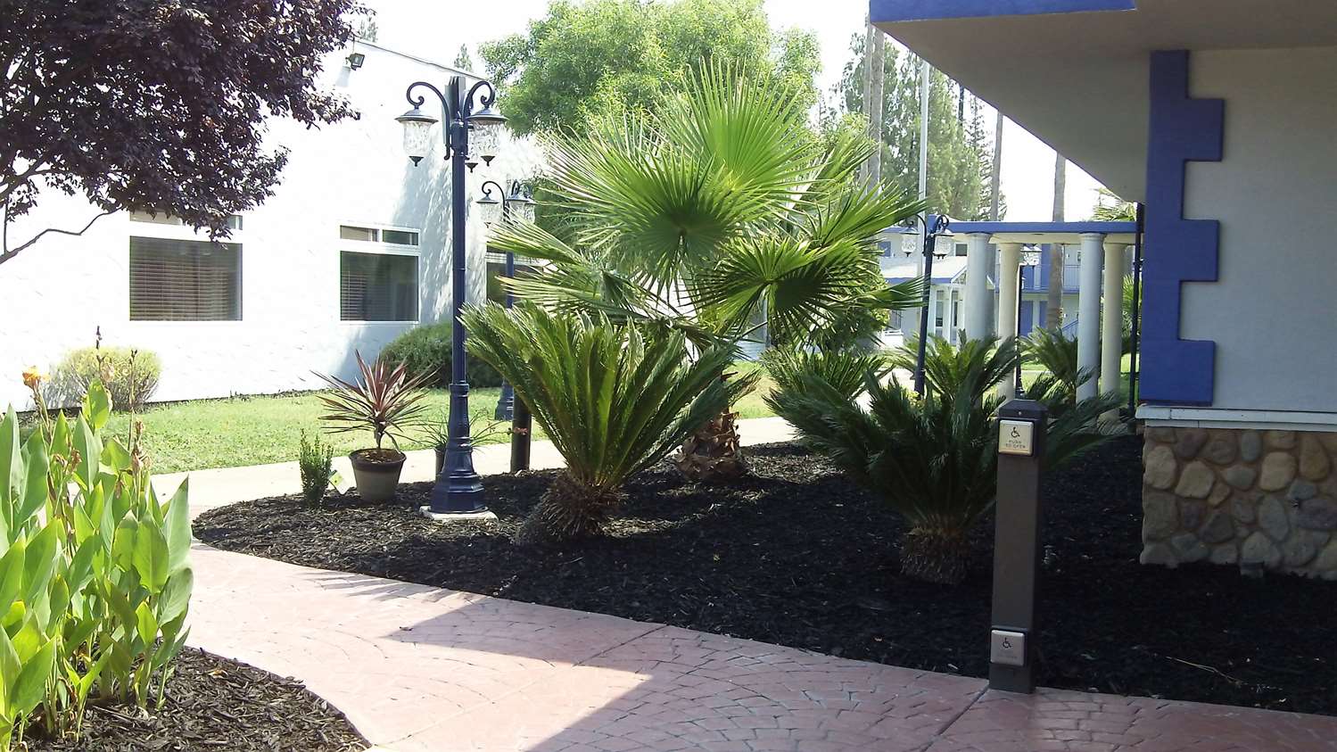 Surestay Plus Hotel By Best Western Sacramento Cal Expo 37/39