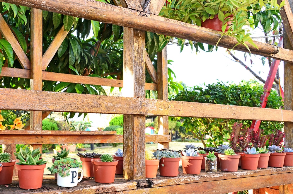 Garden Life Homestay B B 43/48