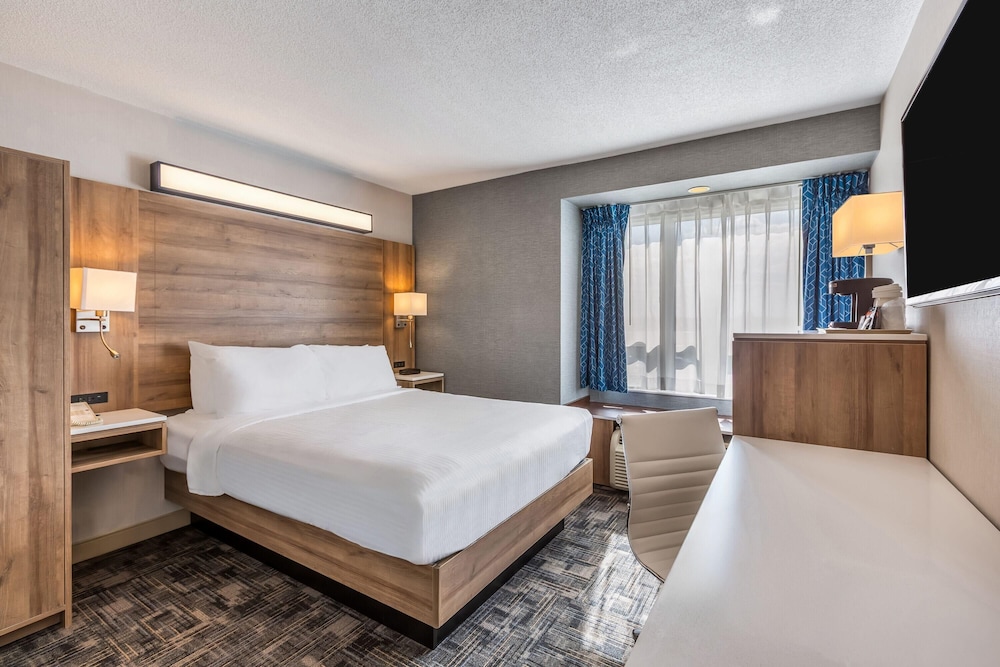 Standard, Queen Bed