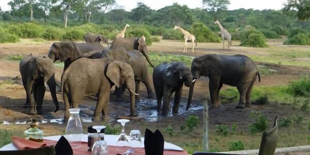 Elephant Valley Lodge 40/50