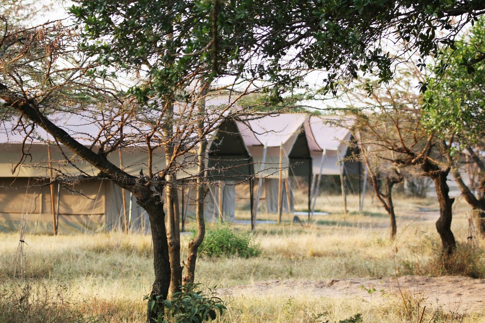 Olengoti Safari Camp 30/31