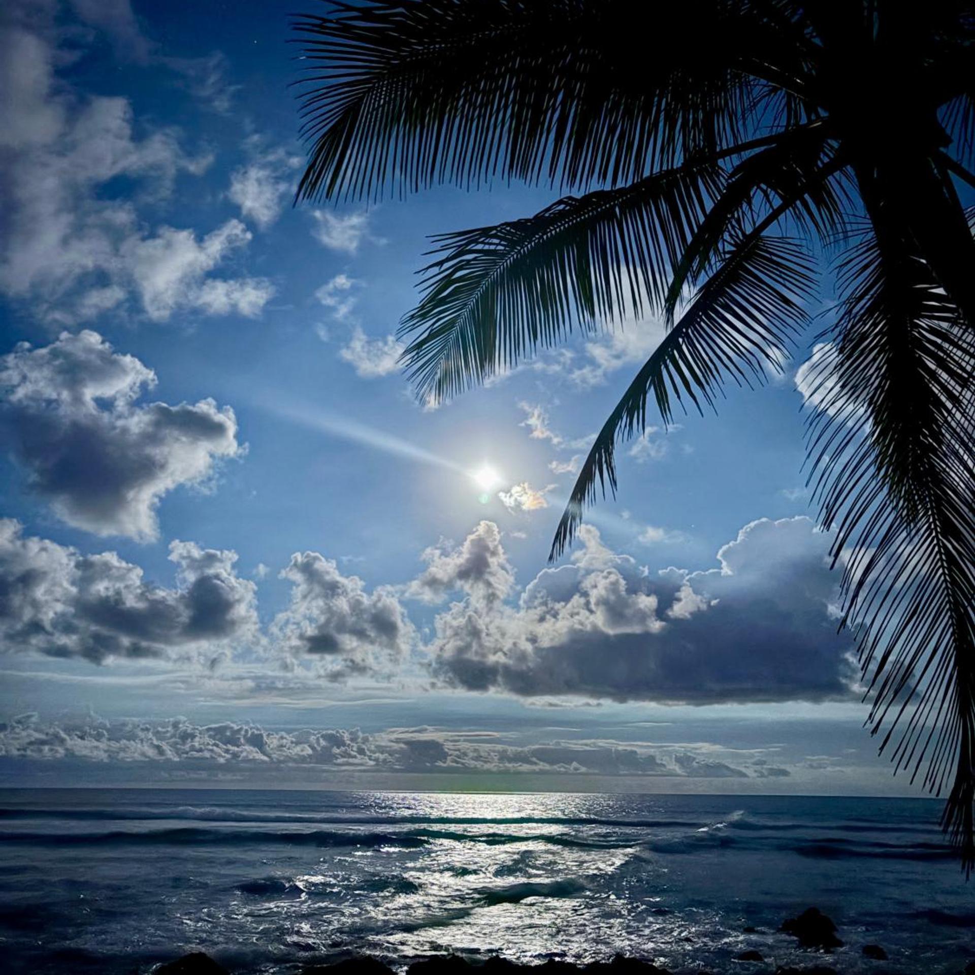 Dany Island Eco Resort 33/50