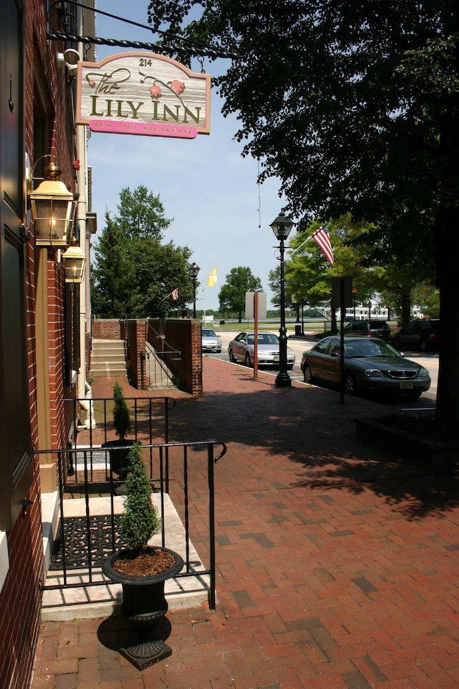 The Lily Inn 30/36