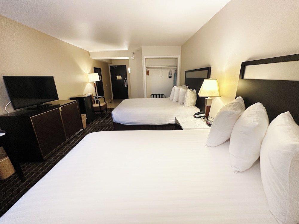 Alhambra Hotel 16/50