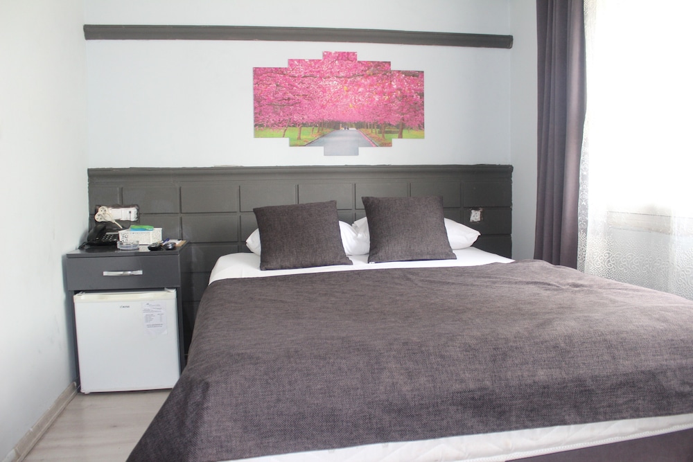 Asus Palmiye Otel 20/32