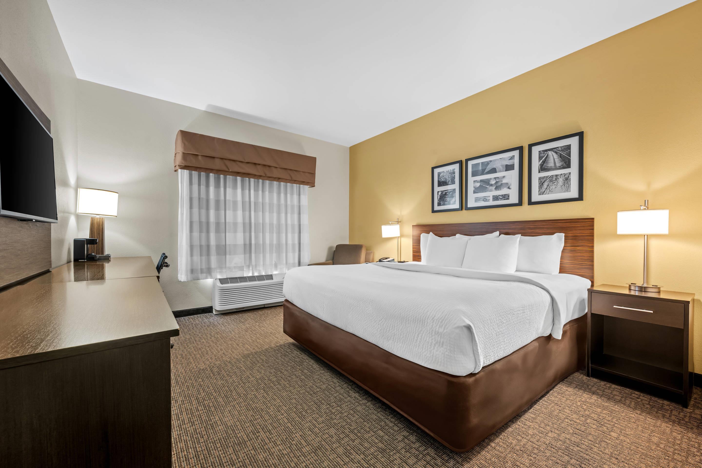 Room, King Bed